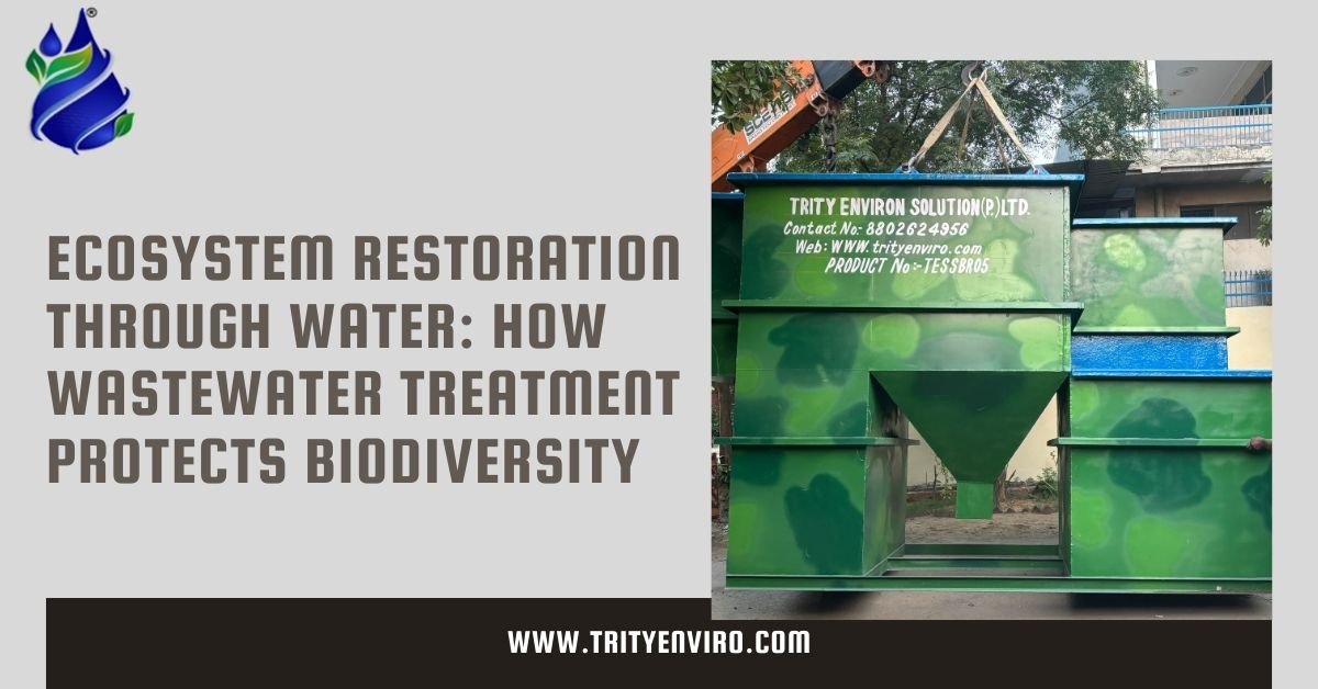 Ecosystem Restoration Through Water: How Wastewater Treatment Protects Biodiversity