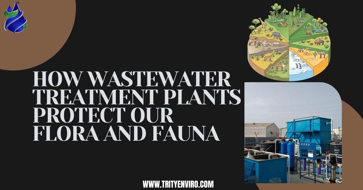 How Wastewater Treatment Plants Protect Our Flora and Fauna