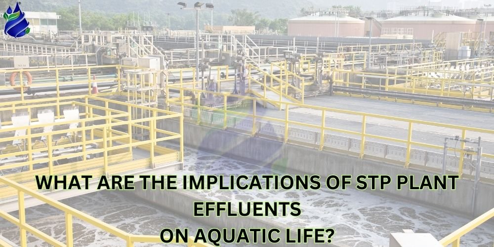 What are the implications of STP Plant effluents on aquatic life?