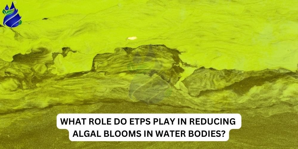 What Role Do ETPs Play in Reducing Algal Blooms in Water Bodies?