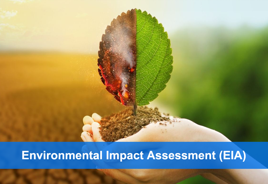 Environmental Impact Assessment EIA 